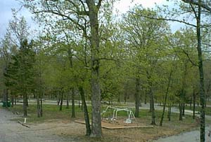 lovely shaded park setting