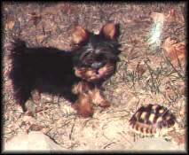 A young Sophie and Sandy
